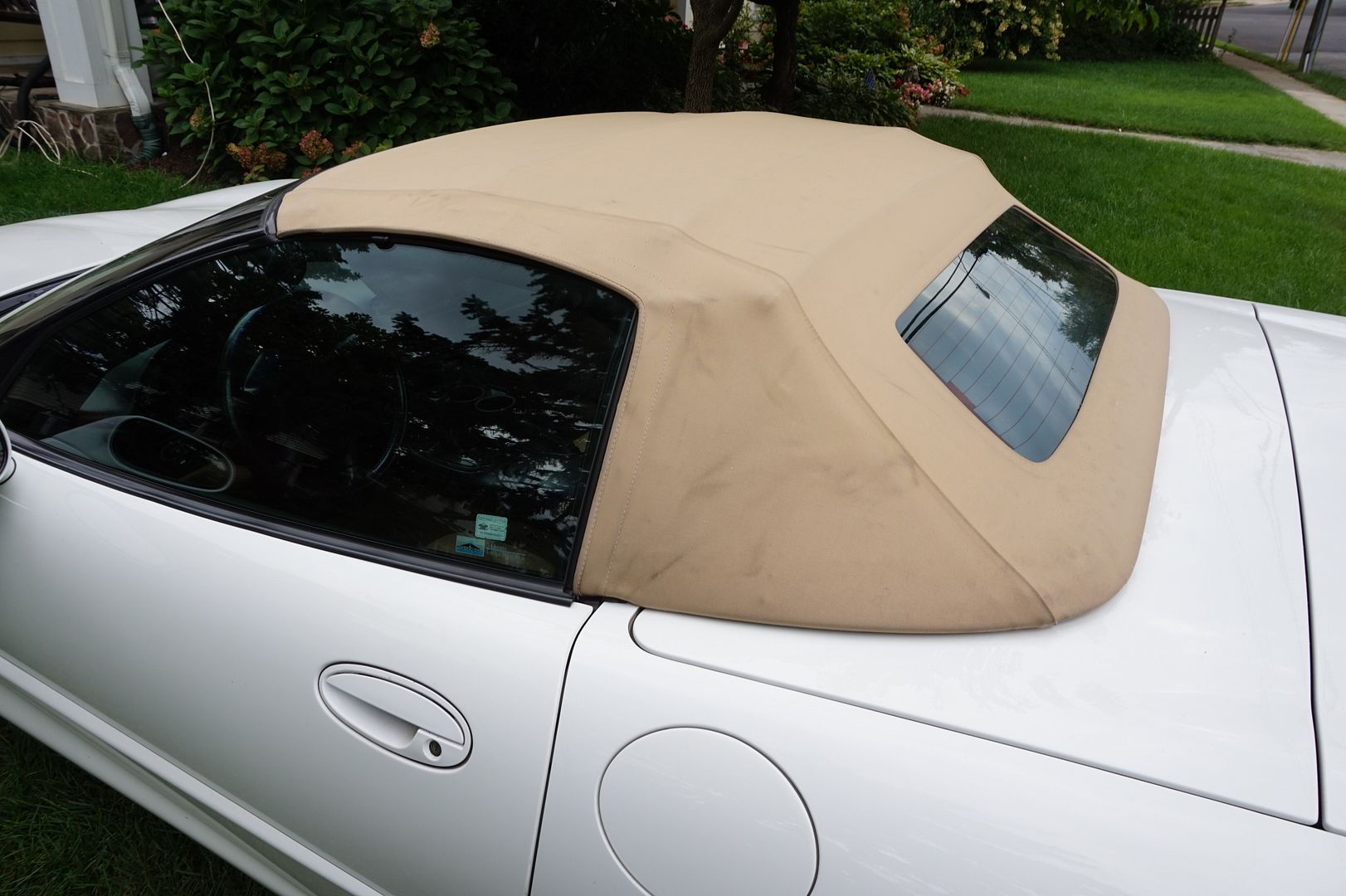 Mold/Mildew stained Tan convertible top wont clean up Help Page 6